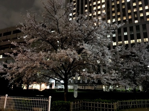 c0121628_21264590.jpg