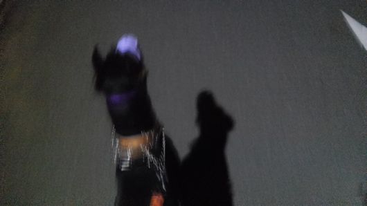c0162128_16423941.jpg