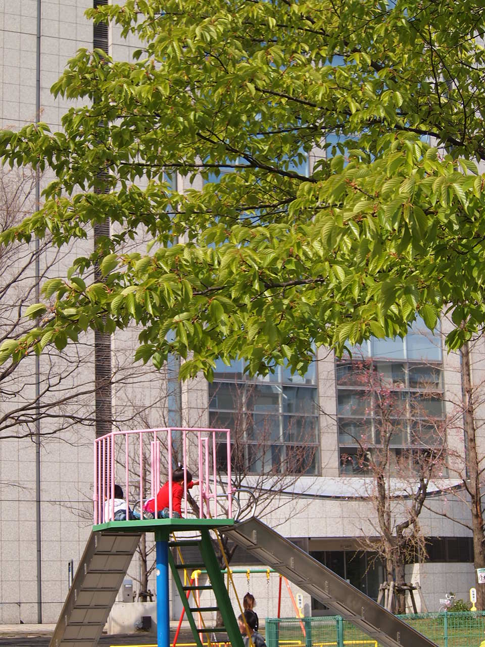 a0214329_1645675.jpg