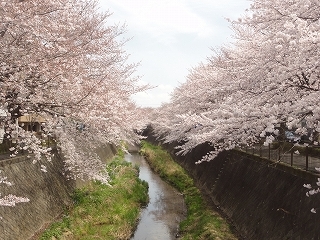 c0147935_21105551.jpg