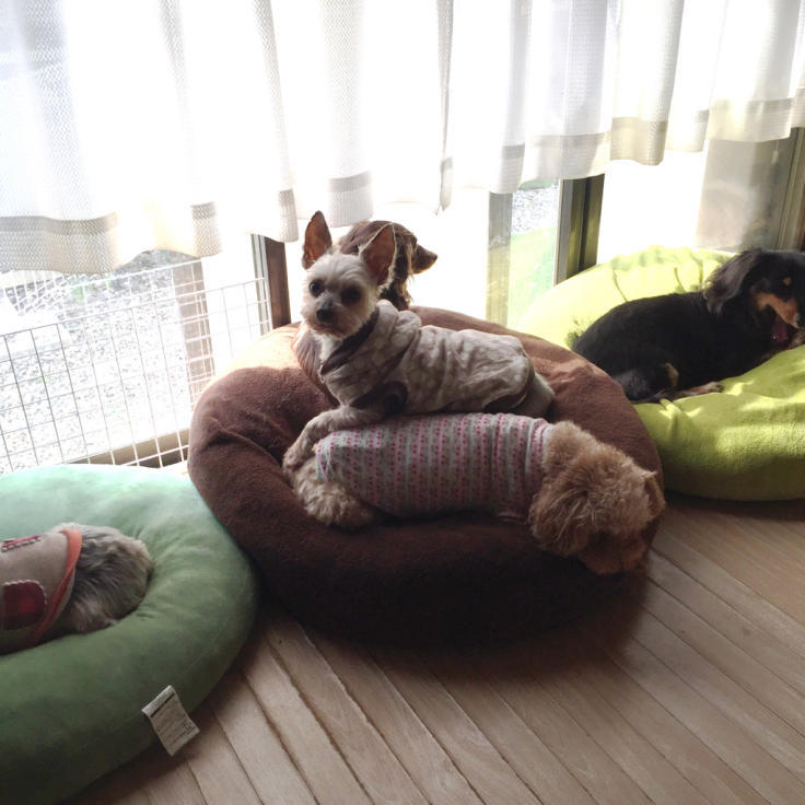 c0342841_20134037.jpg