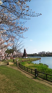 b0080342_22035606.jpg
