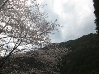 a0054948_22434912.jpg