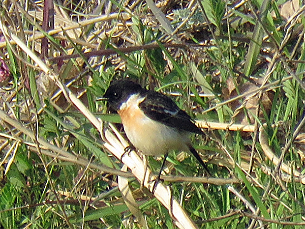 f0214649_04081746.jpg
