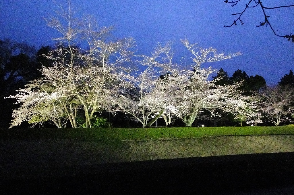 b0236251_11002445.jpg