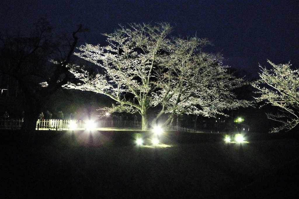 b0236251_11003726.jpg
