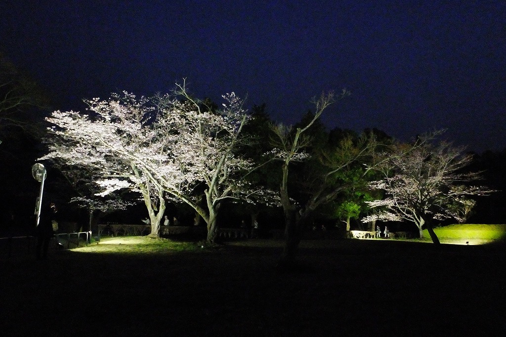 b0236251_11004111.jpg