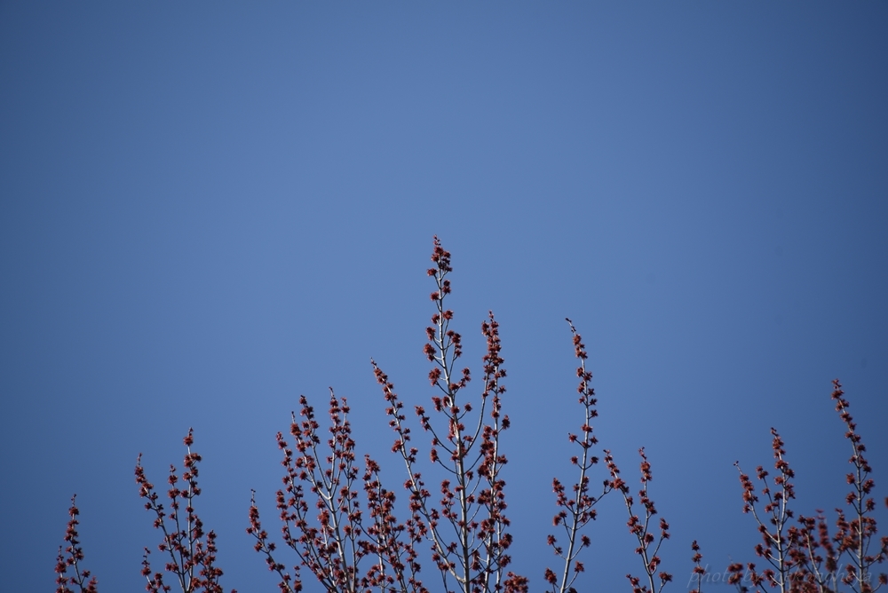 c0122455_13385083.jpg