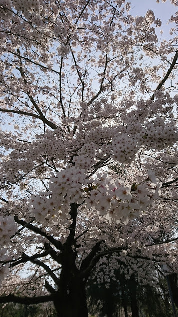 f0363156_12180501.jpg