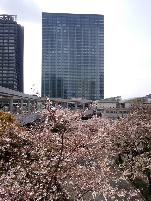 e0047657_22233572.jpg