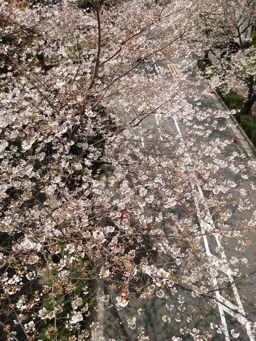 e0047657_22261680.jpg