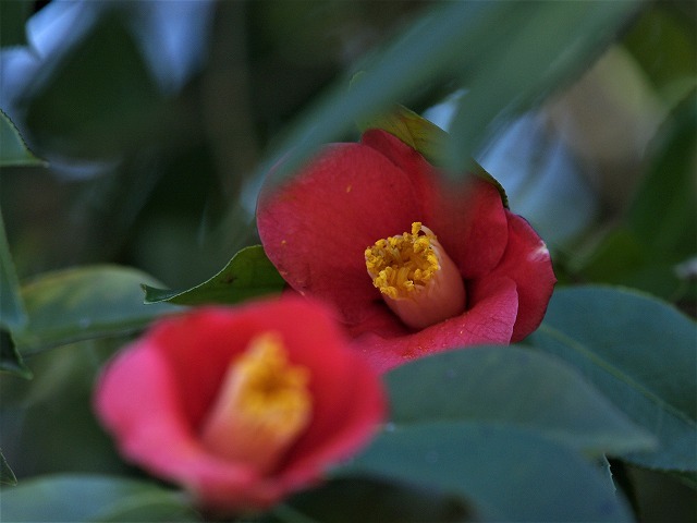 c0194161_20413656.jpg
