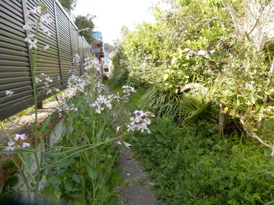 f0060461_08021405.jpg
