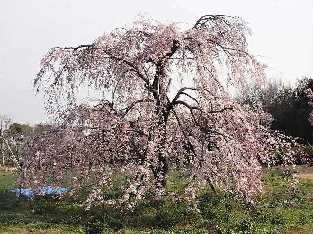 b0044663_00013458.jpg