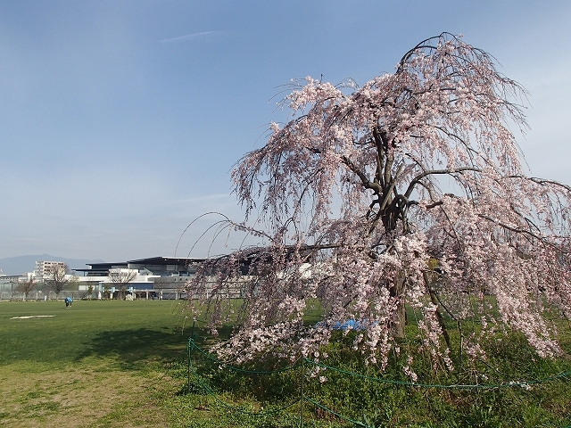 b0044663_00022755.jpg
