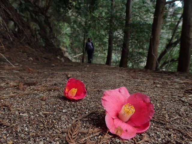 c0123363_10514747.jpg