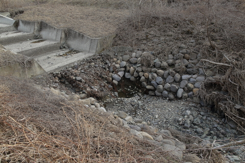 f0075075_20291944.jpg