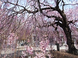f0222378_9384226.jpg