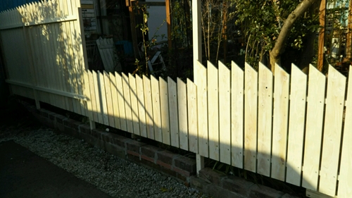 f0366679_2391065.jpg