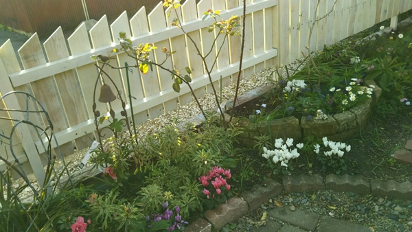 f0366679_2392317.jpg