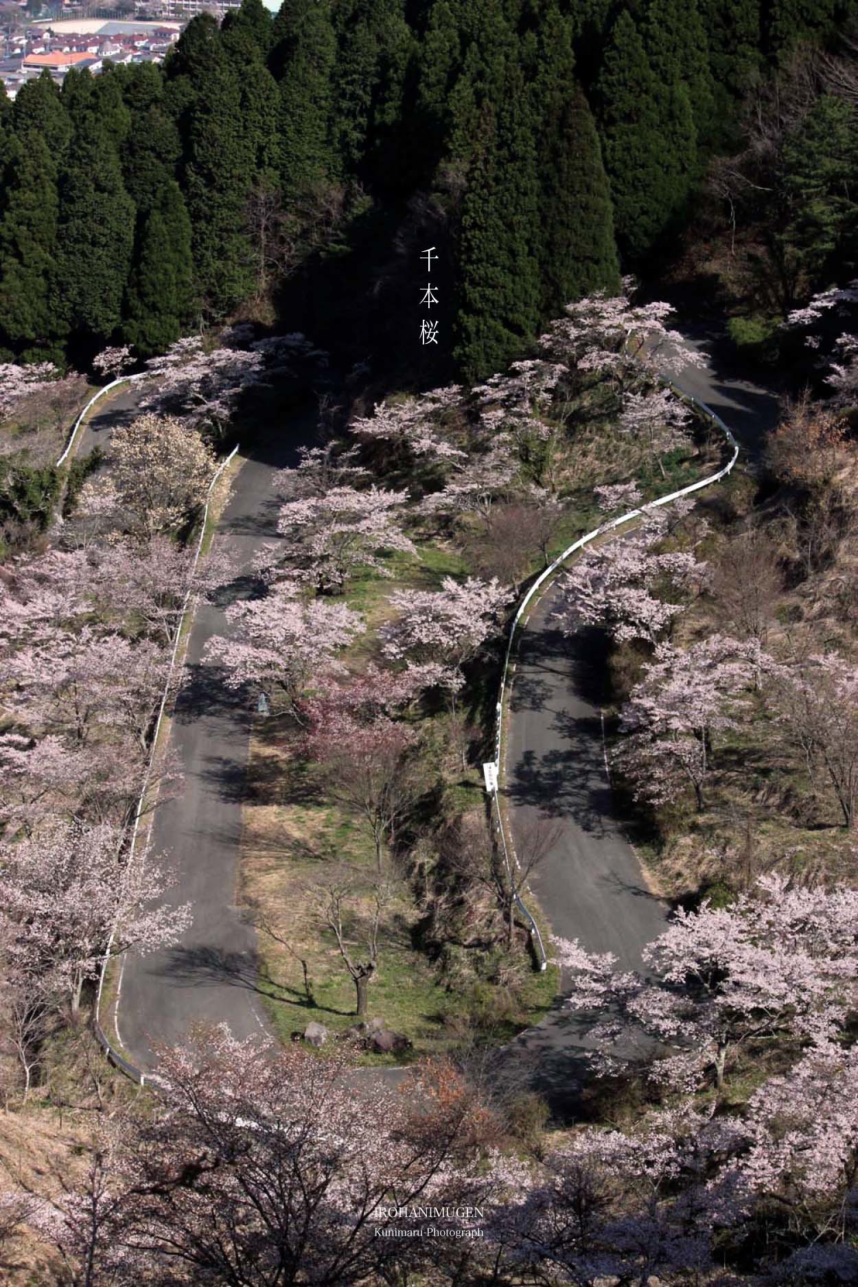 f0221382_19562015.jpg