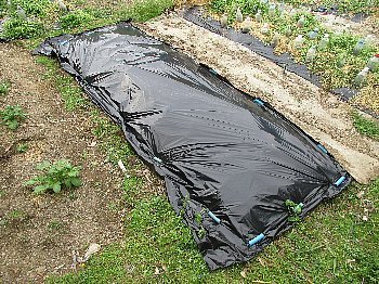 f0003283_20240240.jpg