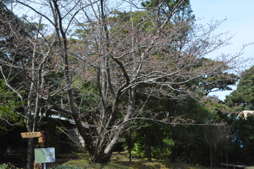 c0204385_18162736.jpg