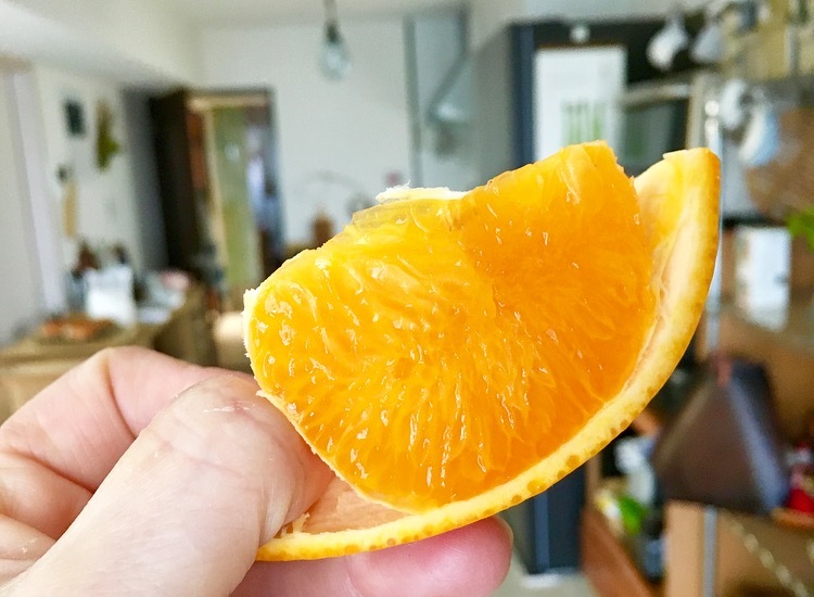 e0241285_06433942.png