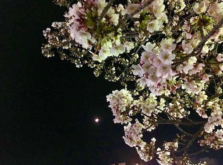 e0241285_06451531.png