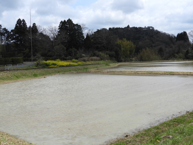 a0157088_22065757.jpg