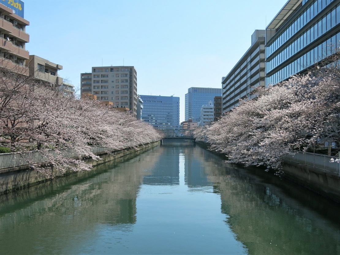 e0182389_030638.jpg