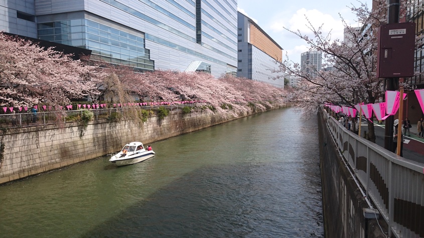 f0174989_16251380.jpg