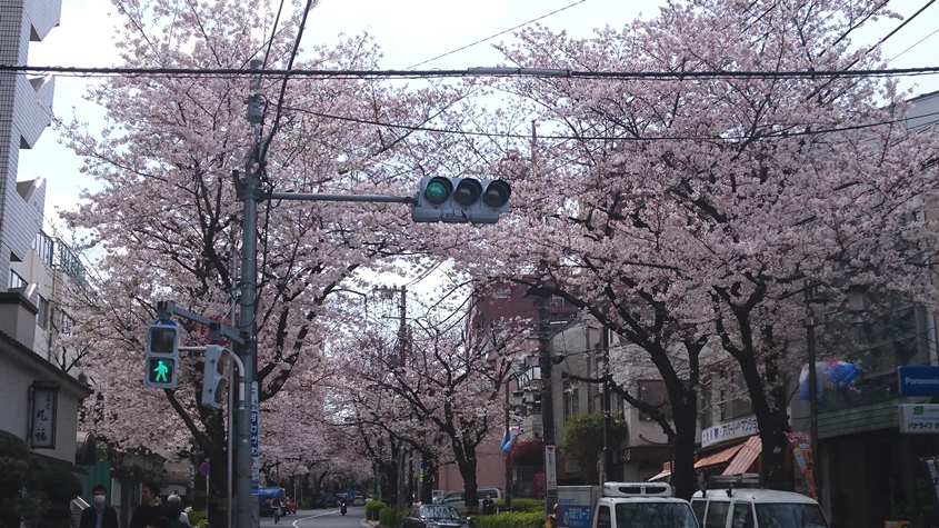 f0174989_1629210.jpg