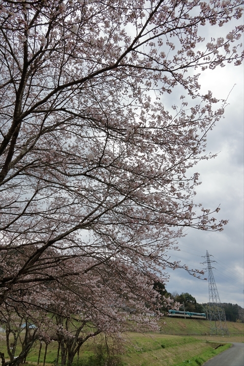 a0335890_18395380.jpg