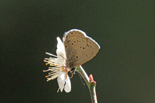 d0353091_09272626.jpg