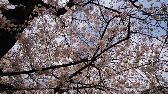 e0035992_1111829.jpg