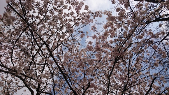 e0035992_11123370.jpg