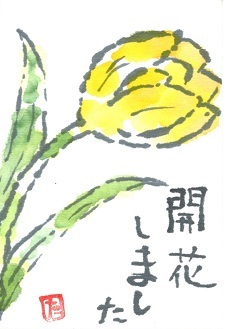 f0029393_04505020.jpg