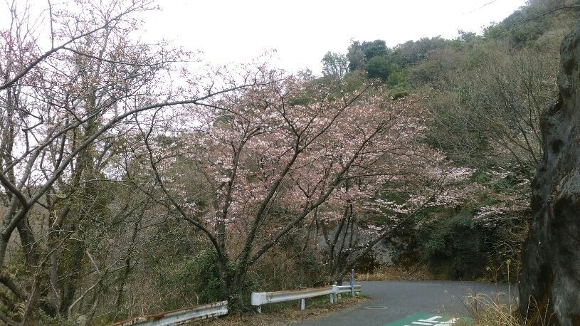 a0030594_003553.jpg