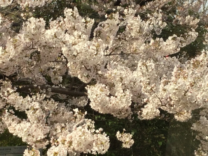 f0268294_17160382.jpg