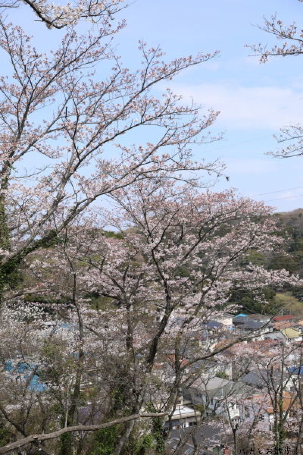 b0275998_12080015.jpg