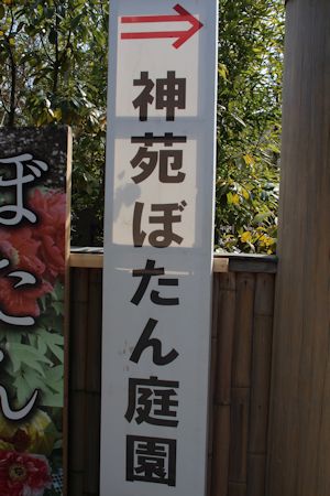 c0090198_21355178.jpg