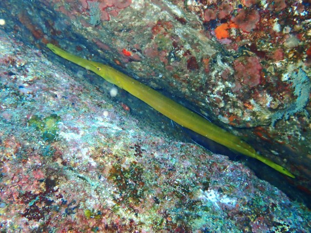 e0115199_15285555.jpg