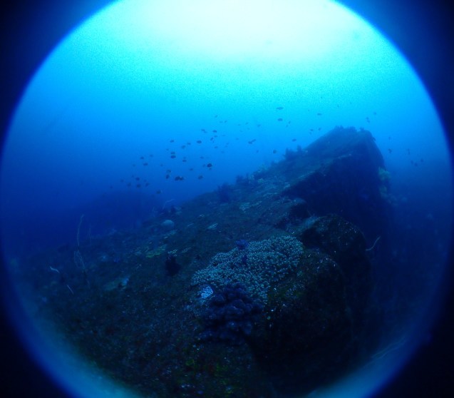 e0115199_20391907.jpg