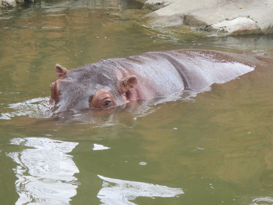 c0212604_635550.jpg
