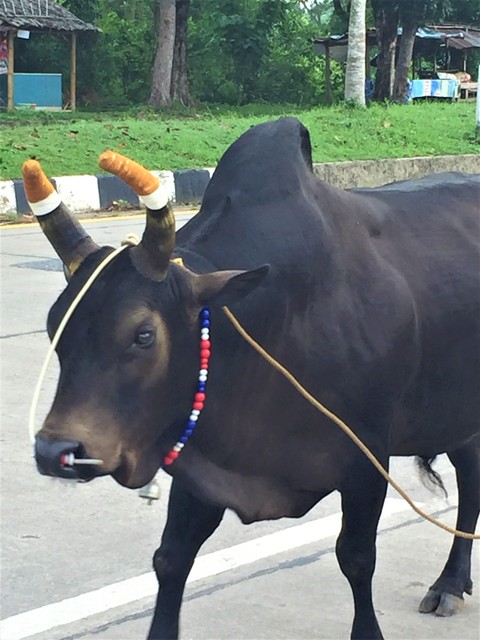 e0147206_15561557.jpg