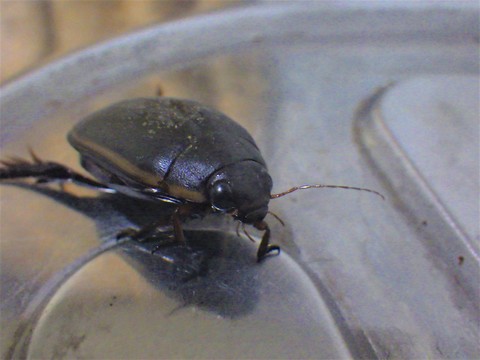 e0147206_18252558.jpg