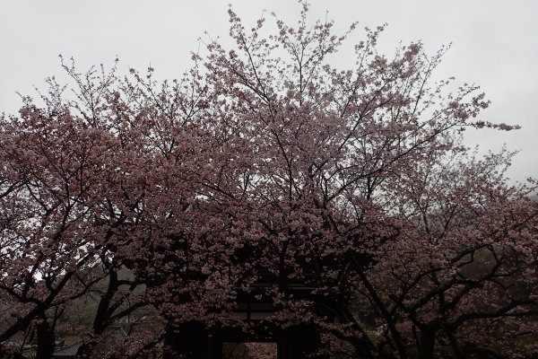c0367107_18072814.jpg