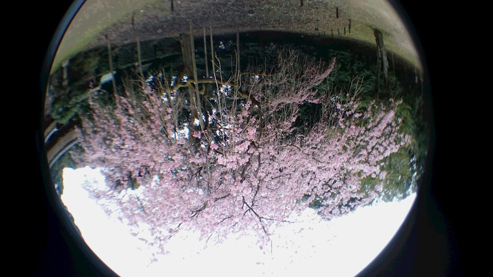 e0172608_805954.jpg