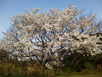 c0195909_09095145.jpg